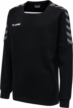 SV Veitshöchheim Authentic Sweatshirt Kinder